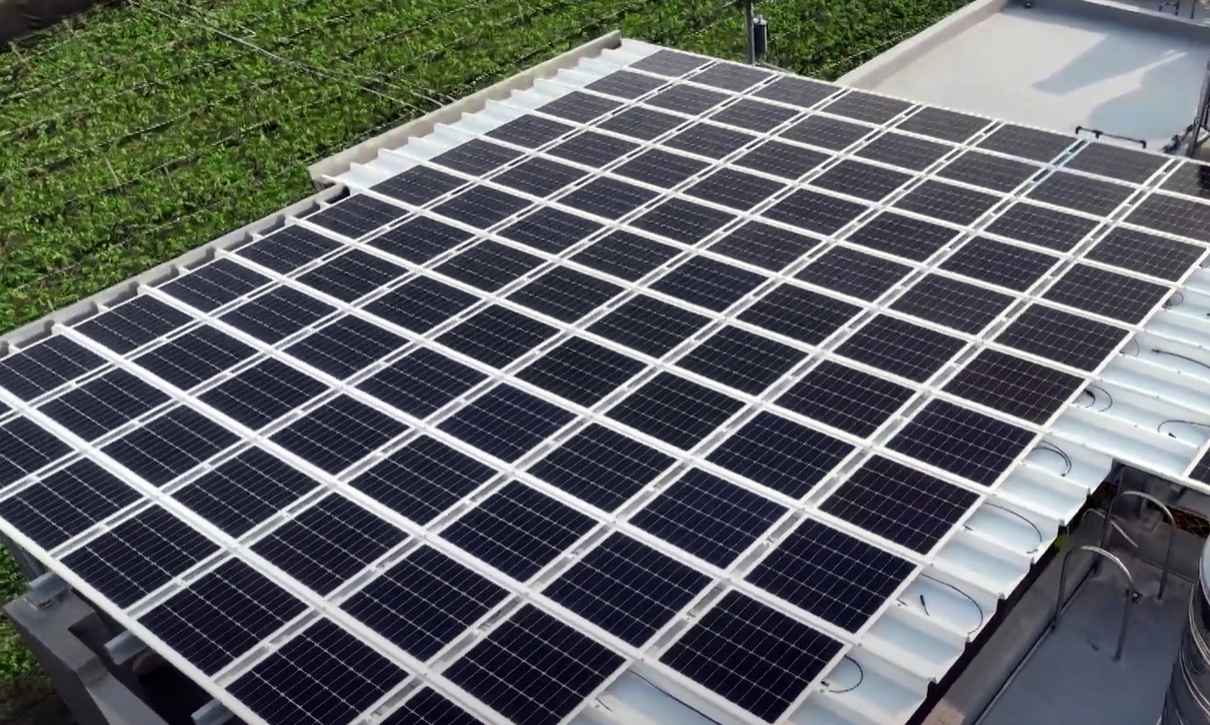 世界杯官方端网站登录入口SunSteel光电浪板升级双玻结构，以提升机械负载强度及气候耐候度，可广泛运用于多元场域