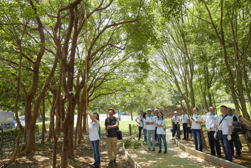 藝師教導大家認識樹木、檢查樹的健康狀況，學習修枝及碎枝覆土